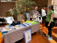 Foto 6 - Gran acogida en la I Feria del Libro de Medinaceli 