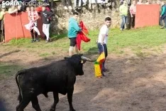 Foto 4 - Siete novillos en una &lsquo;Comprilla&rsquo; vibrante que ha respetado la lluvia