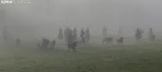 Foto 3 - Ma&ntilde;ana del Lavalenguas marcada por la niebla