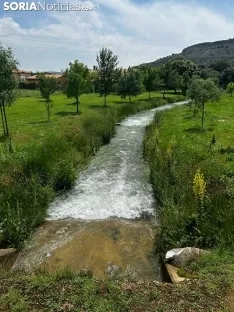 Una imagen de La Toba estos días. /SN
