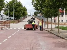 Foto 18 - En im&aacute;genes: La Saca comienza a abrirse paso por Soria