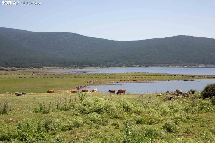 BTT Urbión 2023