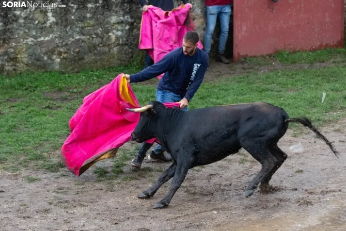 'La Compra' 2023