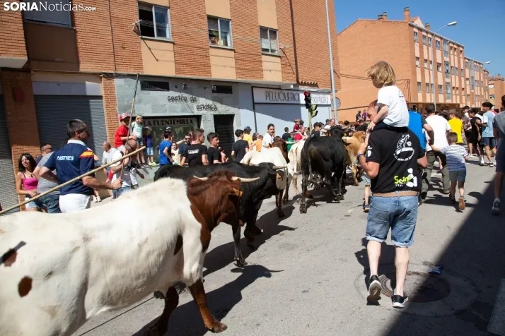 Trashumancia infantil y carretones 2023