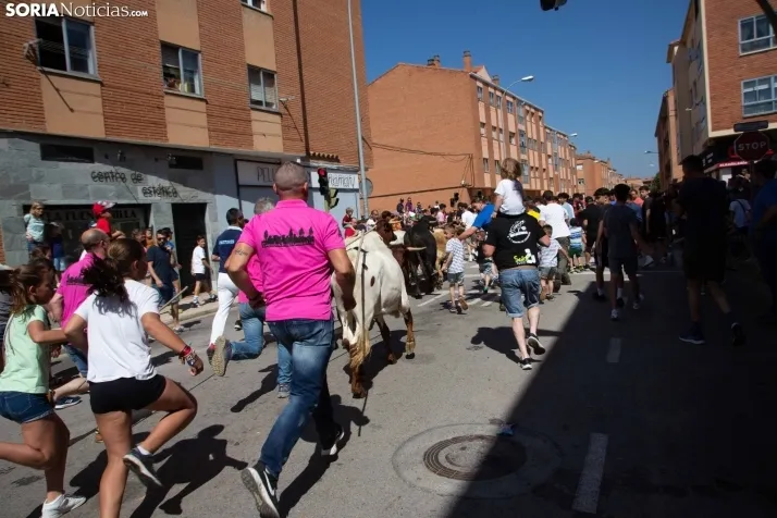 Trashumancia infantil y carretones 2023