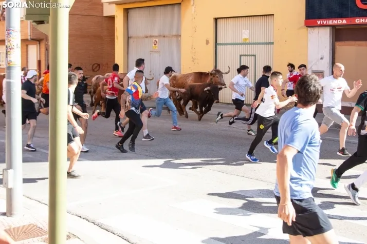 Encierro presanjuanero en Soria