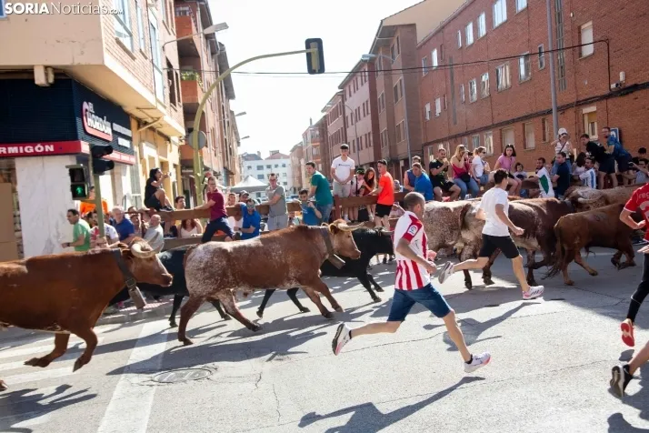 Encierro presanjuanero en Soria