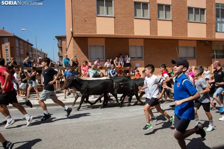 Trashumancia infantil y carretones 2023