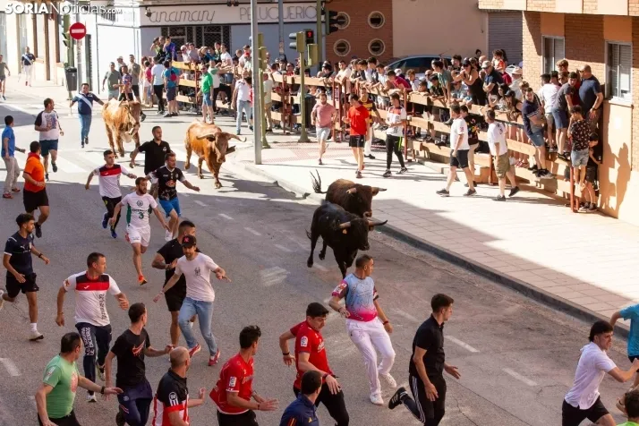 Encierro presanjuanero en Soria