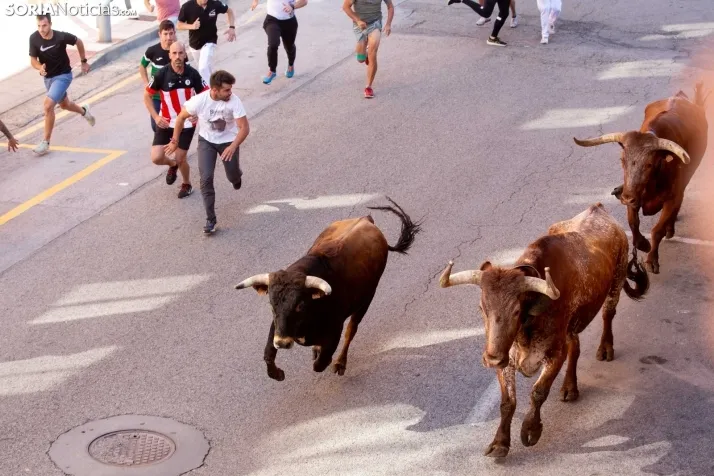 Encierro presanjuanero en Soria