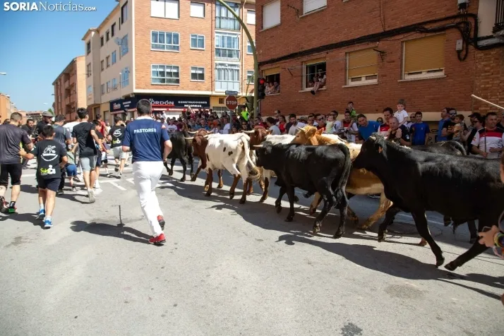 Trashumancia infantil y carretones 2023