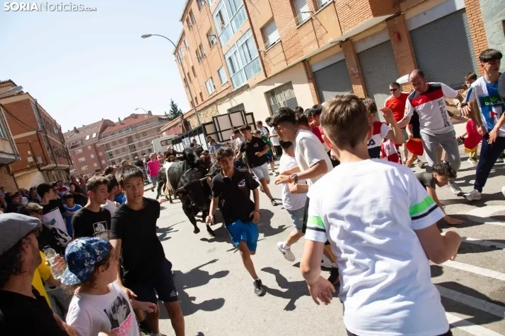 Trashumancia infantil y carretones 2023