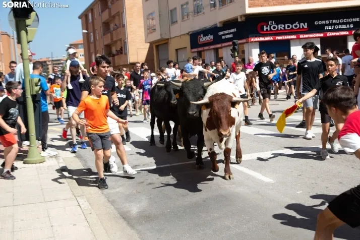 Trashumancia infantil y carretones 2023
