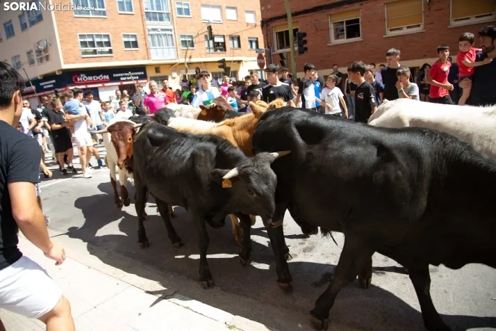 Trashumancia infantil y carretones 2023