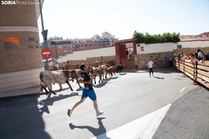 Encierro presanjuanero en Soria