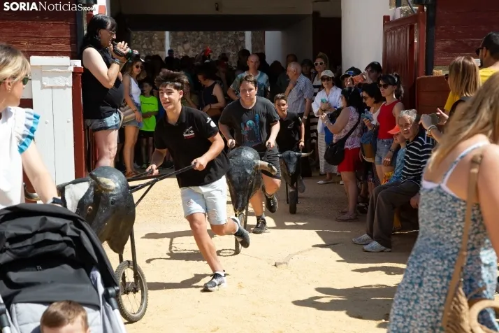 Trashumancia infantil y carretones 2023