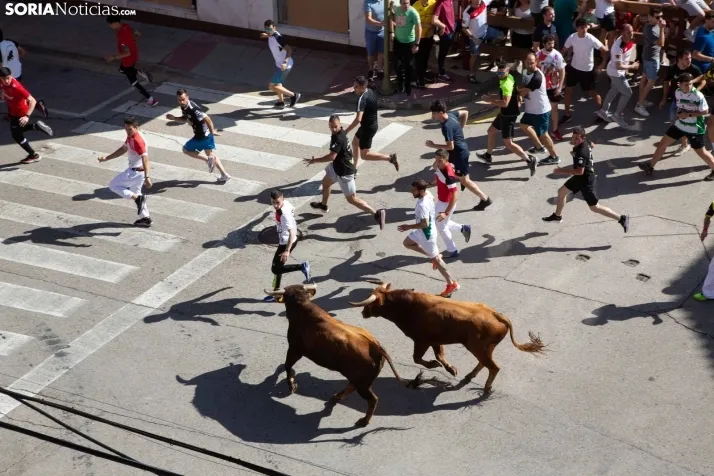 Encierro presanjuanero en Soria
