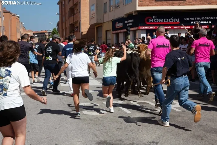 Trashumancia infantil y carretones 2023