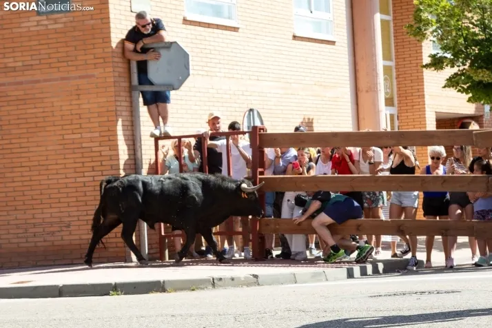 Encierro presanjuanero en Soria