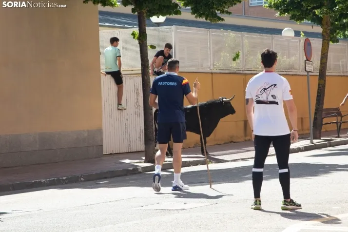 Encierro presanjuanero en Soria