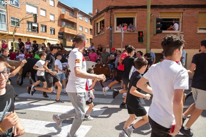 Trashumancia infantil y carretones 2023