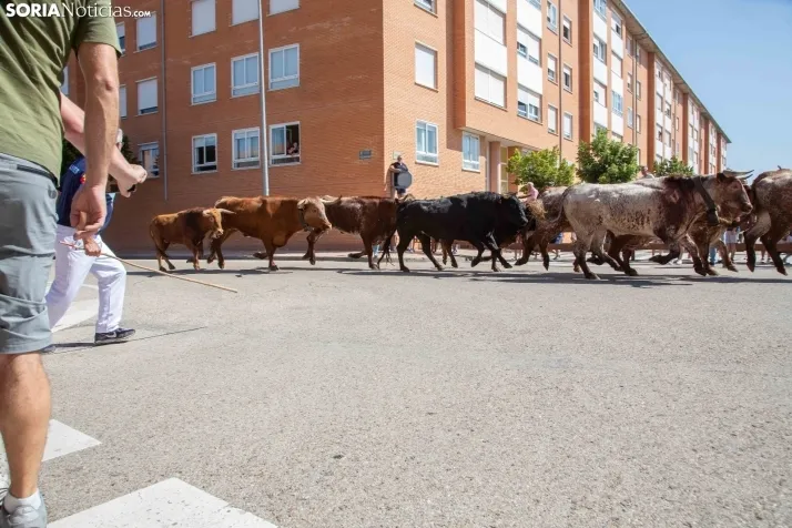 Encierro presanjuanero en Soria