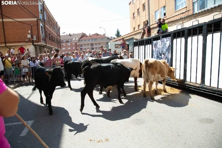 Trashumancia infantil y carretones 2023