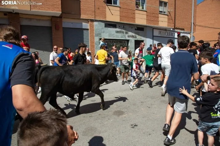 Trashumancia infantil y carretones 2023