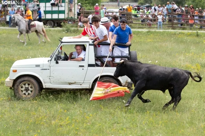 La Saca 2023