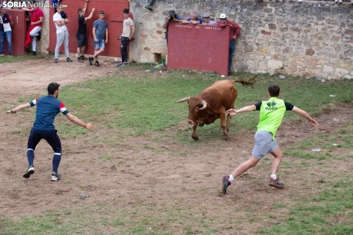 Lavalenguas 2023
