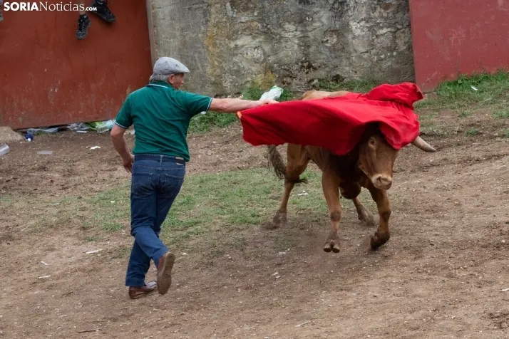 Lavalenguas 2023