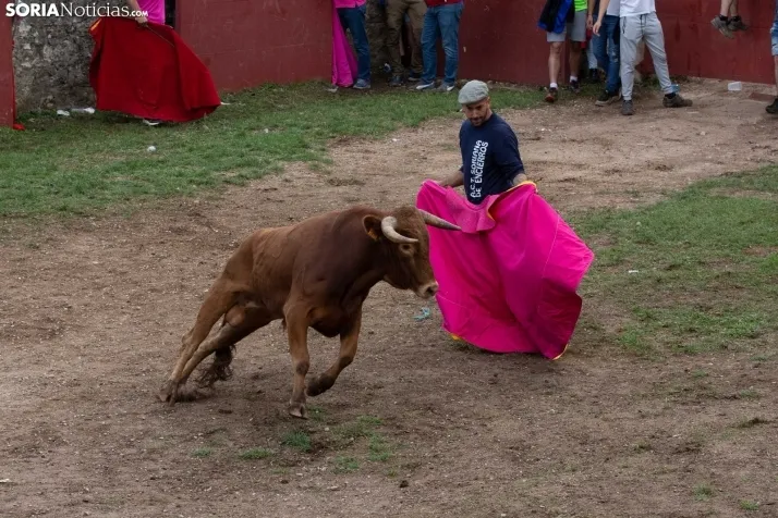 Lavalenguas 2023