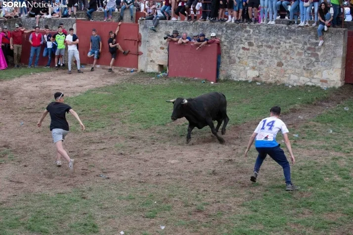 Lavalenguas 2023