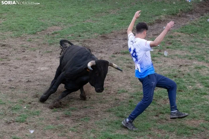 Lavalenguas 2023