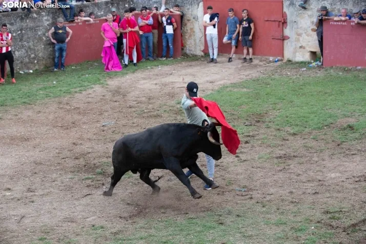 Lavalenguas 2023