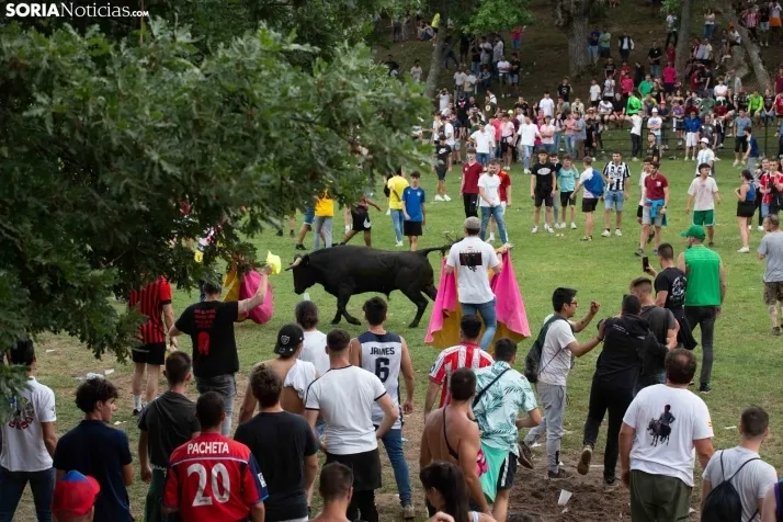 Lavalenguas 2023
