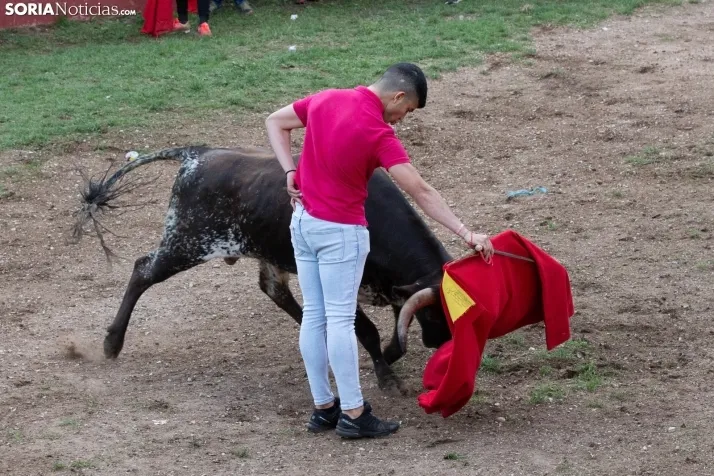 Lavalenguas 2023