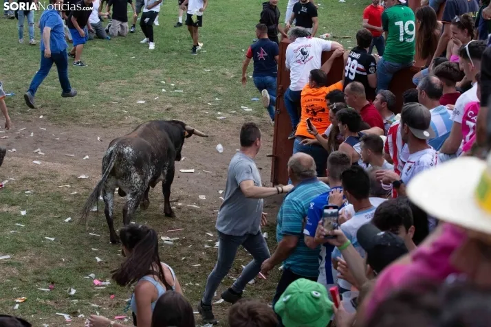 Lavalenguas 2023