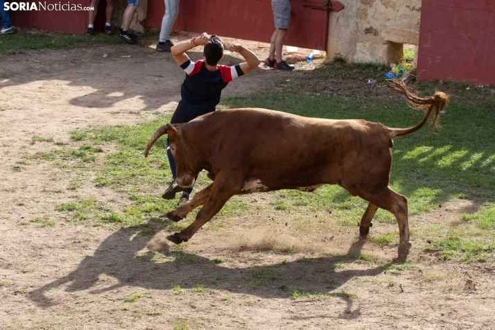 Lavalenguas 2023