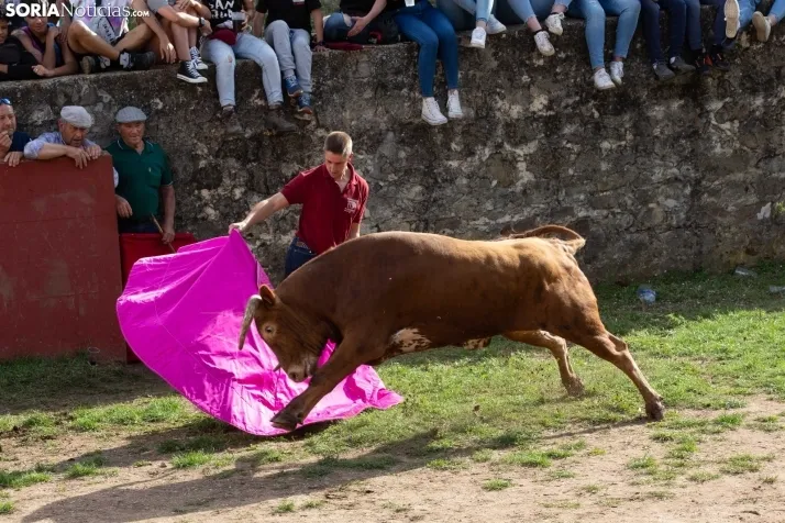 Lavalenguas 2023