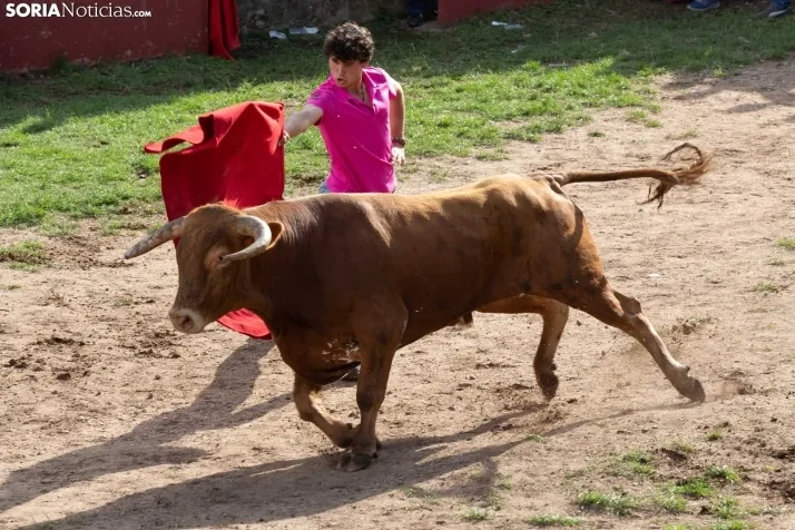 Lavalenguas 2023