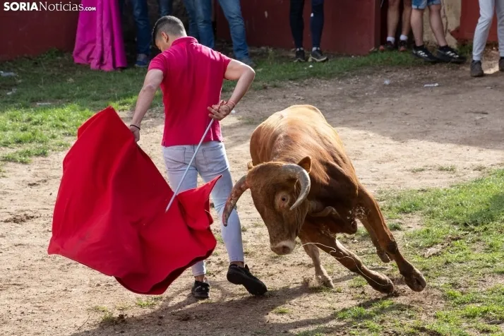 Lavalenguas 2023