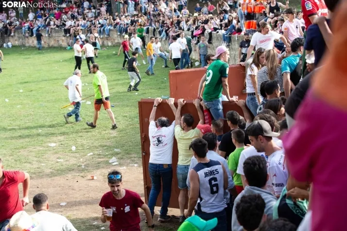 Lavalenguas 2023