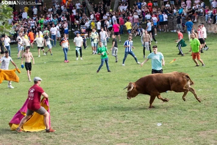 Lavalenguas 2023