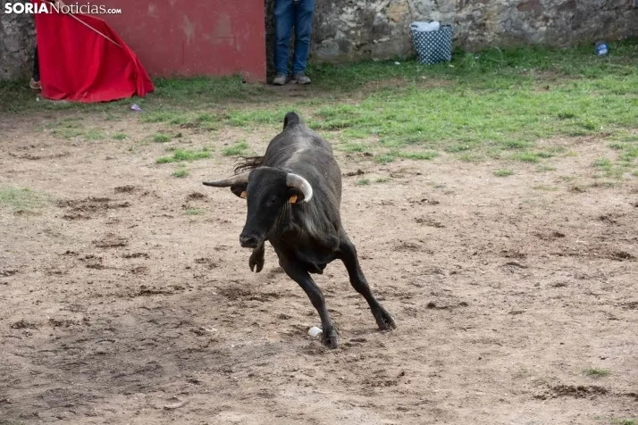 Lavalenguas 2023
