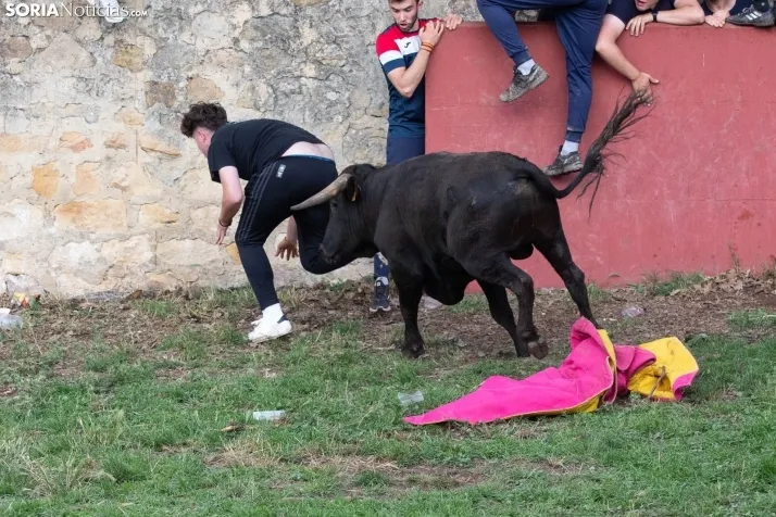 Lavalenguas 2023