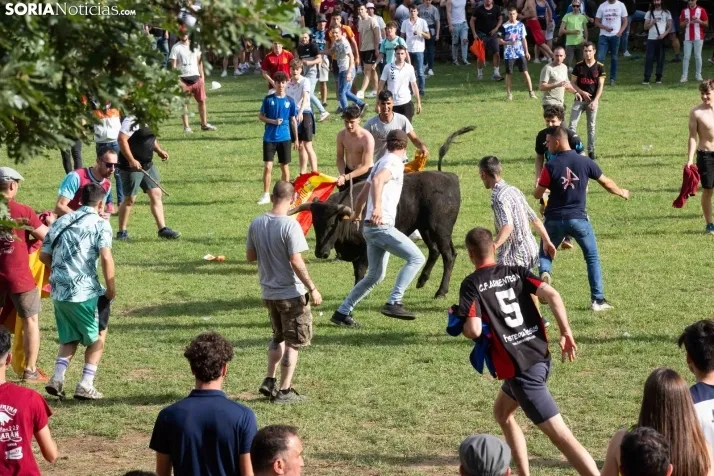 Lavalenguas 2023