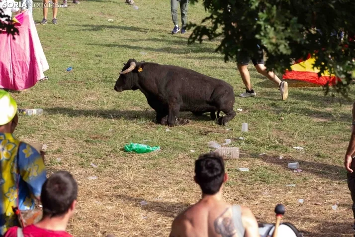 Lavalenguas 2023