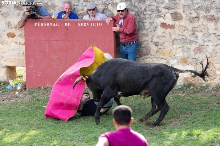 Lavalenguas 2023