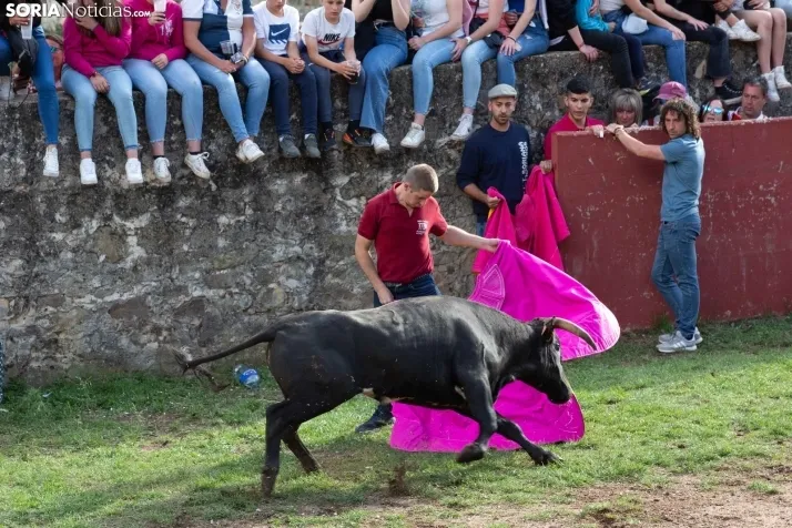 Lavalenguas 2023